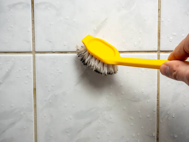 Best Local Mold Removal Service  in Royal City, WA