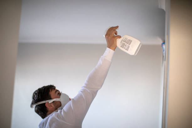 Best Water Damage Restoration  in Royal City, WA