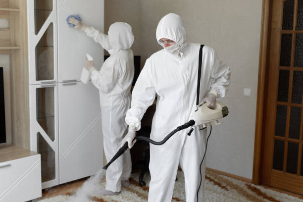 Attic Mold Removal in Royal City, WA