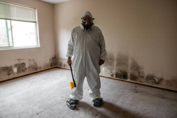 Best Affordable Mold Removal  in Royal City, WA